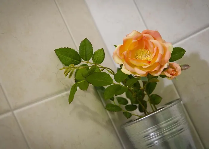 Maison d'hôtes Domus Liberta - Boutique